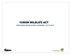 Yukon Wildlife Act - Yukon Fish and Wildlife Management Board