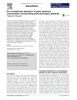 Eco-evolutionary dynamics of plant&ndash;herbivore communities