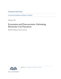 Economies and Diseconomies: Estimating Electricity Cost Functions