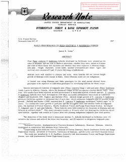 Early performance of Pinus contorta x banksiana hybrids