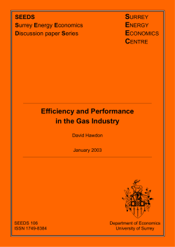 Efficiency and Performance in the Gas Industry