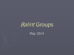 Balint - Barnsley VTS