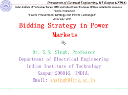 Bidding Strategy in Power Markets