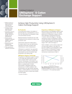 UNOsphere&trade; S Cation Exchange Support - Bio-Rad