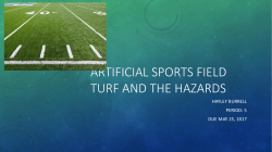 Artificial Sports field turd and the hazords