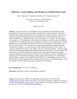 Efficiency, Team building, and Identity in a Public