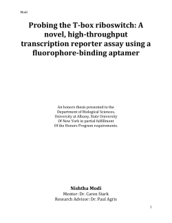 Probing the T-box riboswitch: A novel, high
