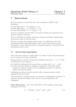 Quantum Field Theory I, Chapter 7