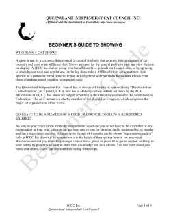 BEGINNER`S GUIDE TO SHOWING - Queensland Independent Cat