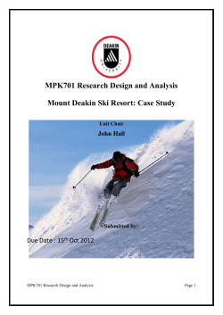 Statement of the management decision problem (MDP)