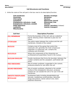 cell membrane