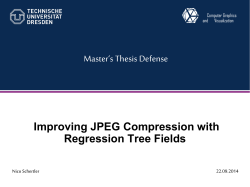 Defense Slides (, 2.5 MB)