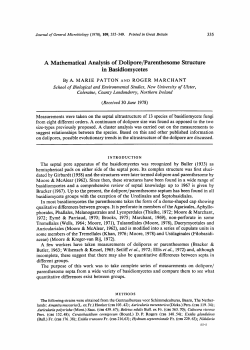 A Mathematical Analysis of Dolipore/Parenthesome