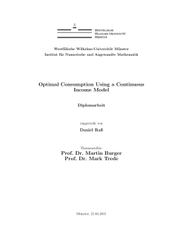 Optimal Consumption Using a Continuous Income Model Prof. Dr