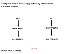 KEEP YY SUPERMALES Fig. 5.1.2 Source: Tave, D
