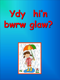 Wyt ti`n hoffi pinc?