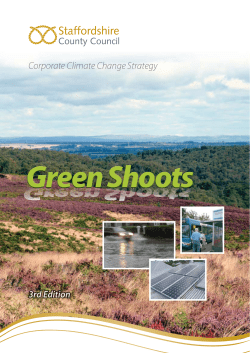 Corporate Climate Change Strategy