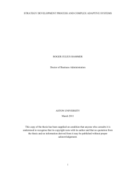 STRATEGY DEVELOPMENT PROCESS AND COMPLEX