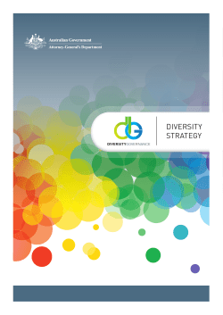 AGD Diversity Strategy Plan - Attorney