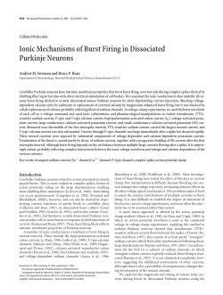 Ionic Mechanisms of Burst Firing in Dissociated Purkinje Neurons