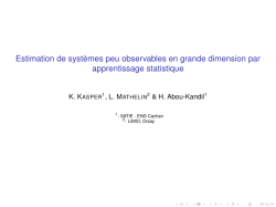Estimation de syst&egrave;mes peu observables en grande dimension par