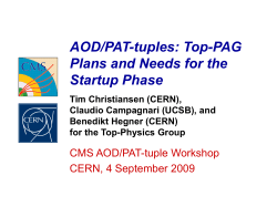 AOD/PAT-tuples: Top-PAG Plans and Needs for the