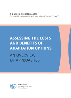 ASSESSING THE COSTS AND BENEFITS OF ADAPTATION