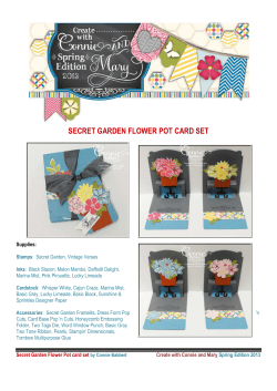 Flower Pot set of cards - Create with Connie and Mary