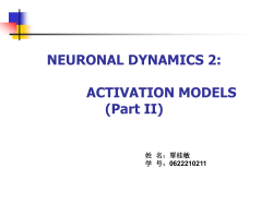 NEURONAL DYNAMICS 2: ACTIVATION MODELS (Part II)