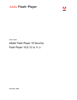 Adobe Flash Player 9 Security