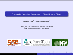 Embedded Variable Selection in Classification Trees