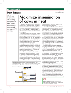 Maximize insemination of cows in heat