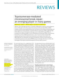 Topoisomerase-mediated chromosomal break repair: an