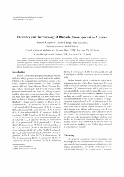 Chemistry and Pharmacology of Rhubarb (Rheum species