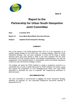 Summary report on updated South Hampshire Spatial Strategy 101Kb
