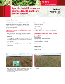 Fall is a good strategy to bolster early