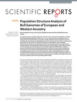 Population Structure Analysis of Bull Genomes of European and
