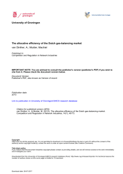 University of Groningen The allocative efficiency of the Dutch gas