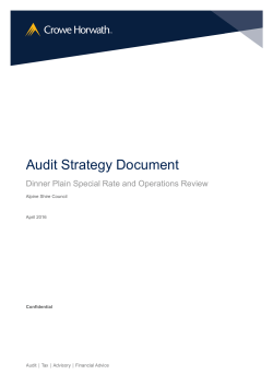 Audit Strategy Document