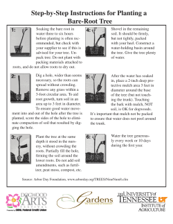 Dogwood fact sheet tree diagram backpage.indd