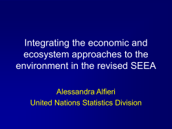 PPT - United Nations Statistics Division