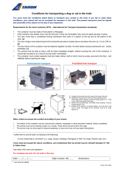 Conditions for transporting a dog or cat in the hold
