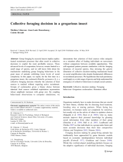 Collective foraging decision in a gregarious insect