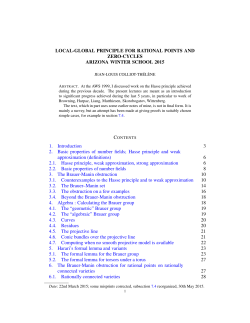 LOCAL-GLOBAL PRINCIPLE FOR RATIONAL POINTS AND ZERO