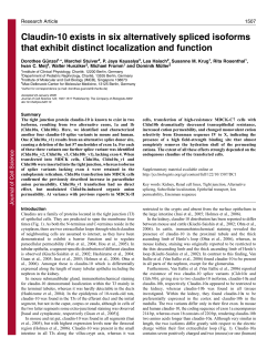 Claudin-10 exists in six alternatively spliced isoforms that exhibit