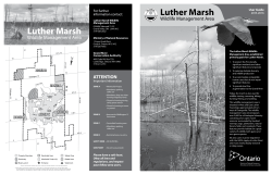Luther Marsh - Grand River Conservation Authority