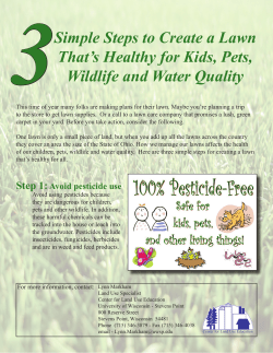 Simple Steps to Create a Lawn That`s Healthy