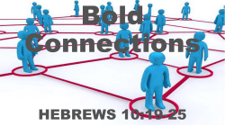 Bold connections - Berea Bible Church