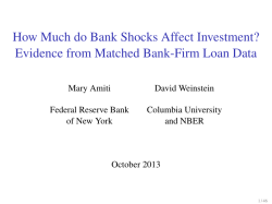 How Much do Bank Shocks Affect Investment? Evidence from