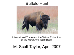 Buffalo Hunt - Works Bepress